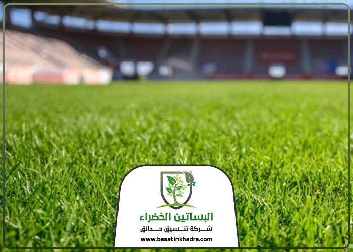 تجهيز ملاعب