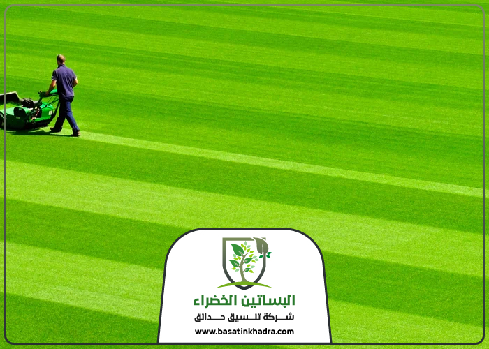شركة تجهيز ملاعب جنوب الرياض 