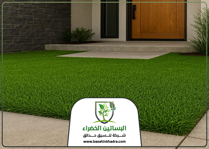 تركيب نجيلة في غرب الرياض