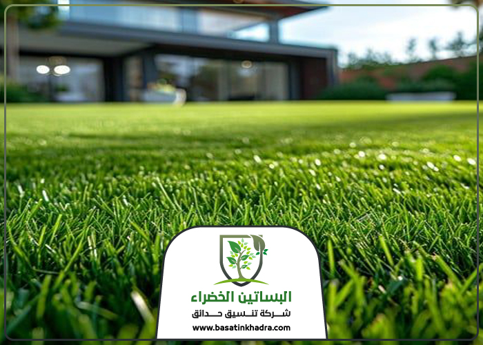 تركيب نجيلة في شرق الرياض