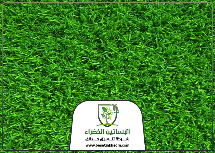 تركيب نجيلة في جنوب الرياض