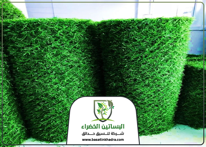 تركيب عشب بحي الحزم