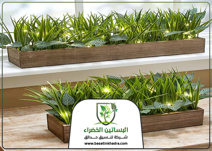 تركيب أحواض زرع خشبي بالرياض