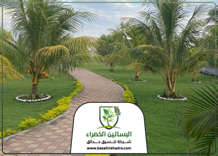 تركيب عشب حي الملك فهد