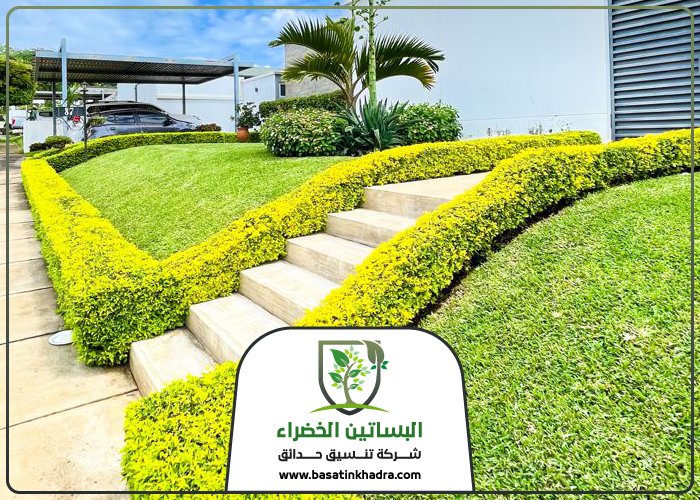 تركيب عشب صناعي بحطين