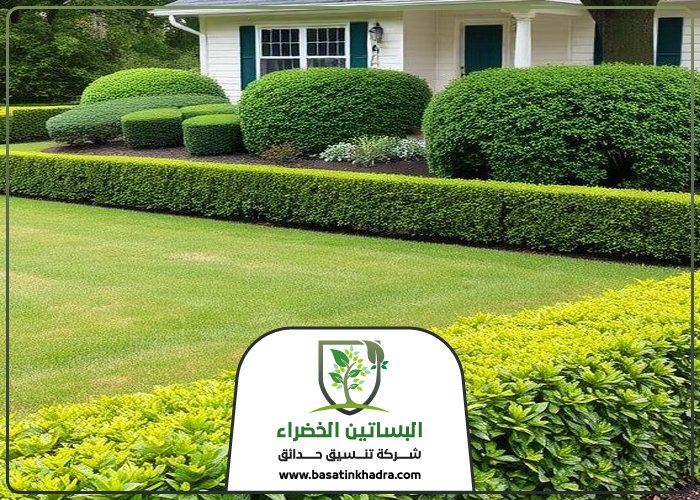 تركيب عشب صناعي بحي المحمدية