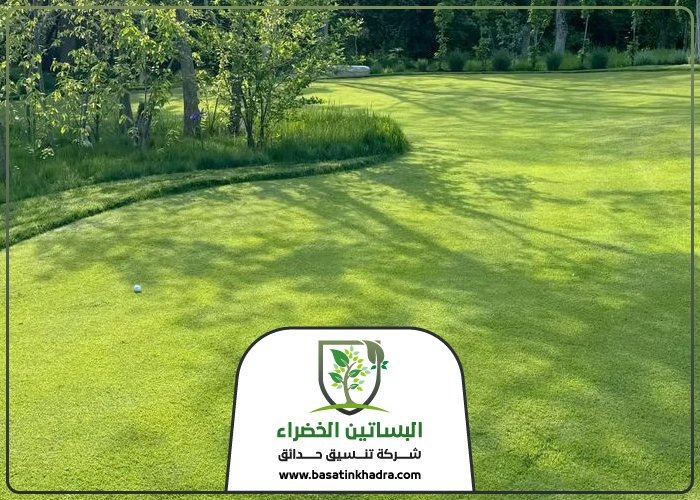 تركيب عشب صناعي بحي المحمدية