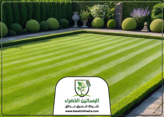 تركيب عشب صناعي بالخزامي