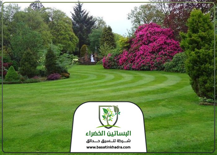 تركيب عشب صناعي بحي المحمدية