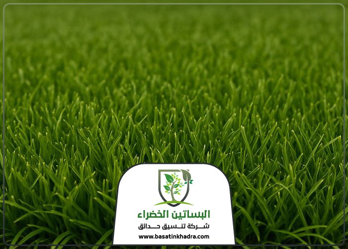 تركيب عشب صناعي بحي الوادي