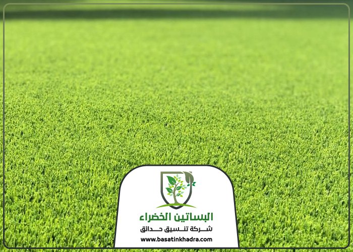 تركيب عشب صناعي بالصحافة