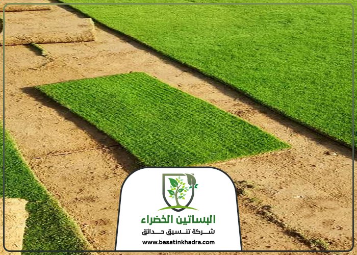 تركيب عشب طبيعي بالرياض