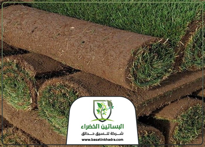 تركيب عشب طبيعي بالرياض