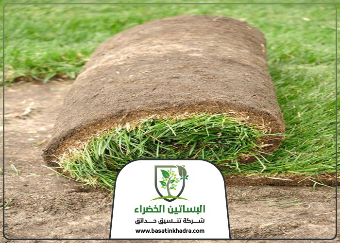 تركيب عشب جنوب الرياض