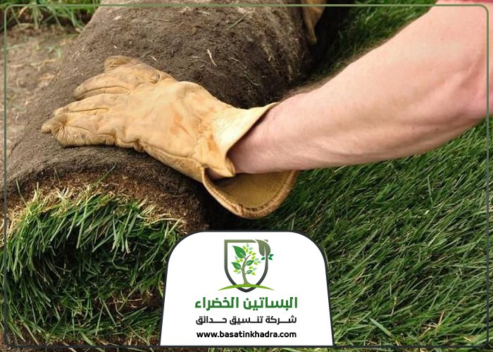 تركيب عشب جنوب الرياض