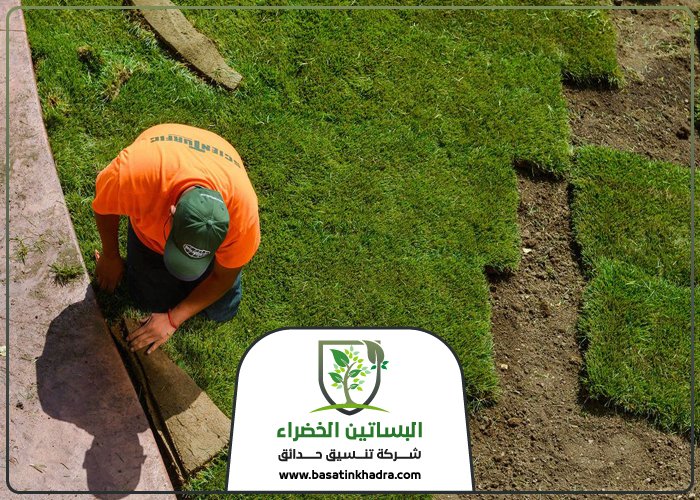 تركيب عشب جنوب الرياض