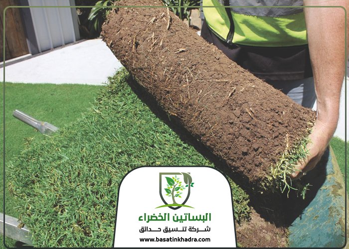 تركيب عشب بحي الأندلس