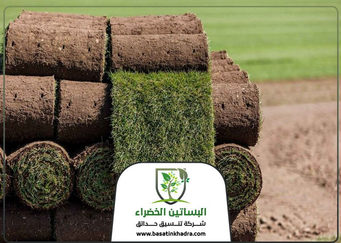 تركيب عشب بحي الأندلس