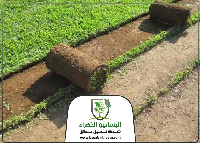 تركيب عشب بحي الأندلس