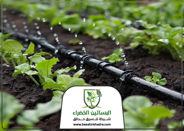 تركيب شبكات الري غرب الرياض