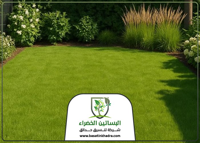 تركيب عشب حي الرحمانية