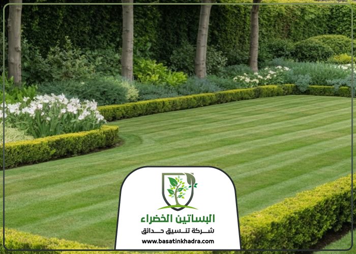 تركيب عشب حي الرحمانية