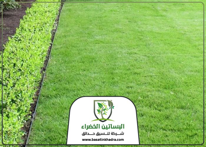 تركيب عشب حي الرحمانية