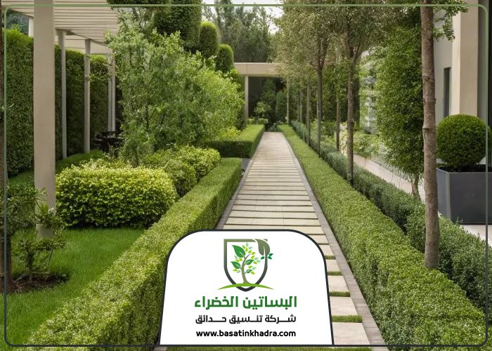تنسيق حدائق بحي الوادي