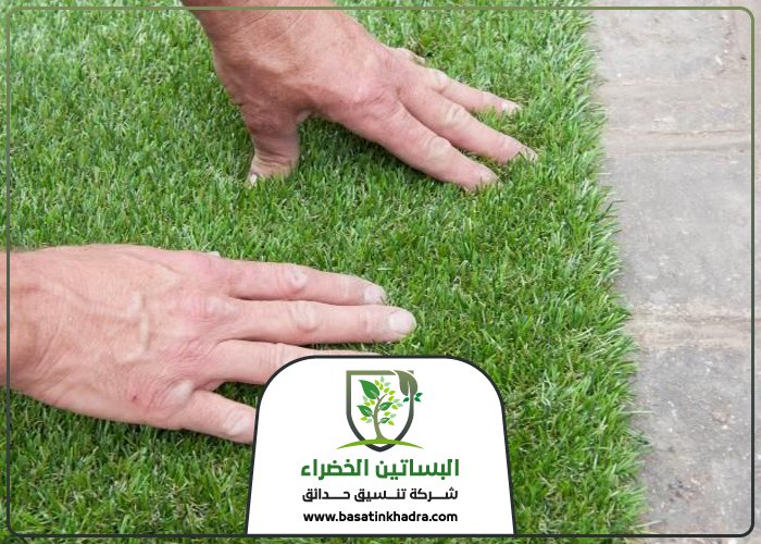 تركيب عشب غرب الرياض