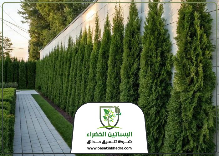 تركيب عشب جداري غرب الرياض