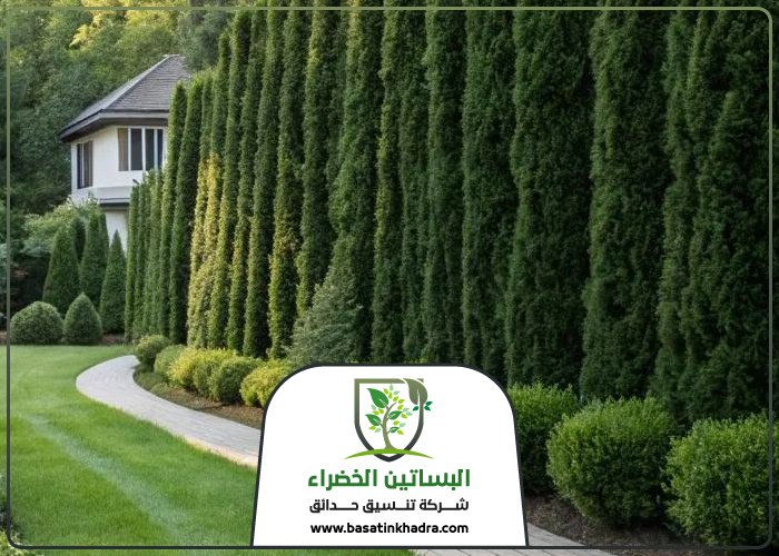 تنسيق حدائق حي العارض