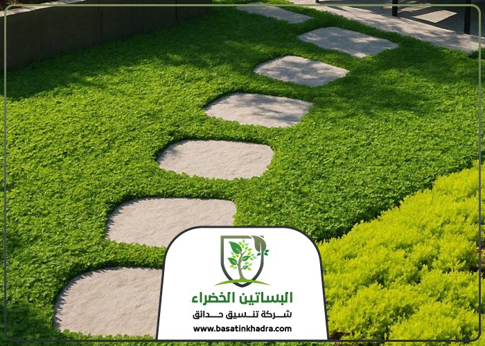 تنسيق حدائق حي اشبيلية