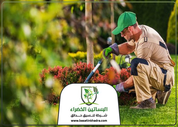 قص اشجار بالرياض