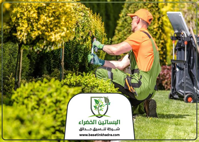 قص اشجار شمال الرياض