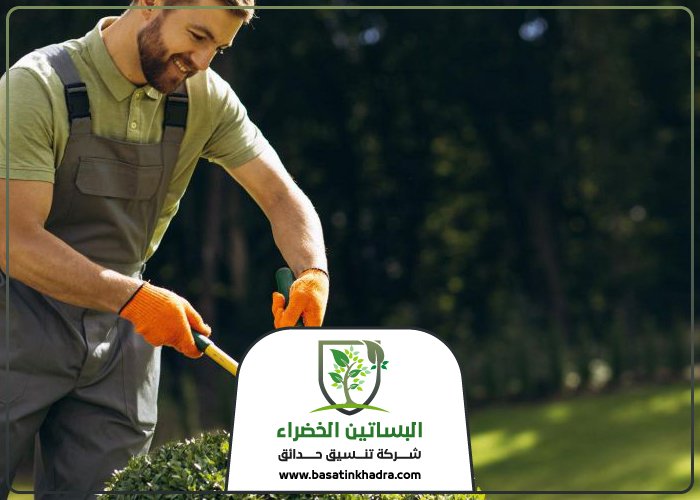 قص اشجار بالرياض