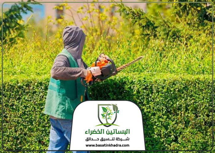 قص اشجار شمال الرياض
