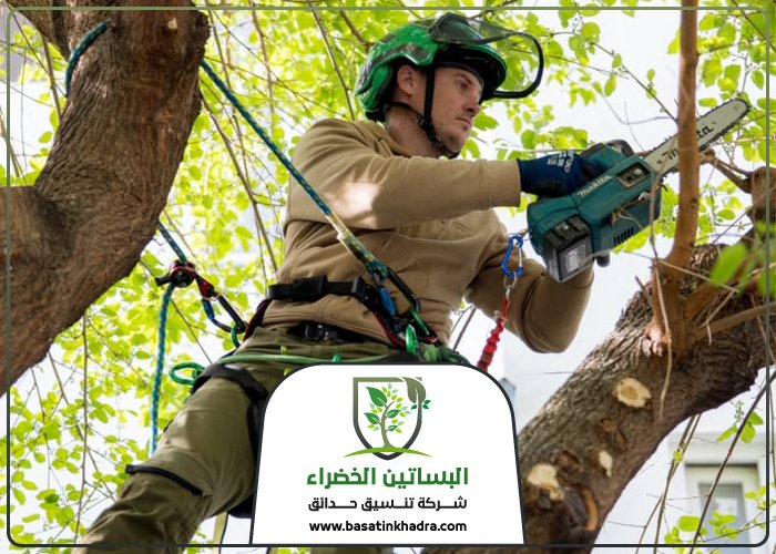 قص اشجار شرق الرياض