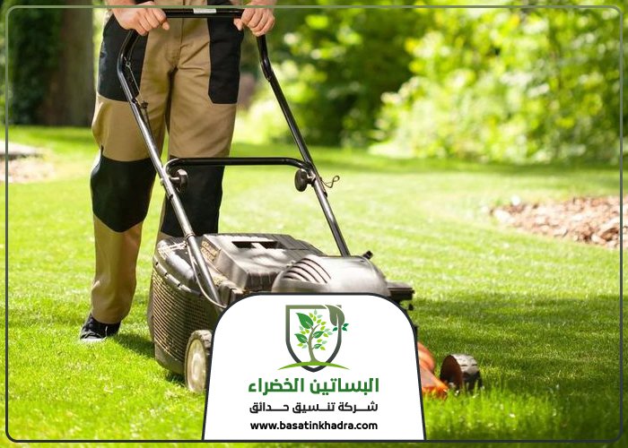 قص اشجار غرب الرياض