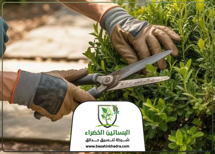 قص اشجار غرب الرياض