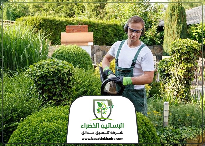 قص اشجار غرب الرياض