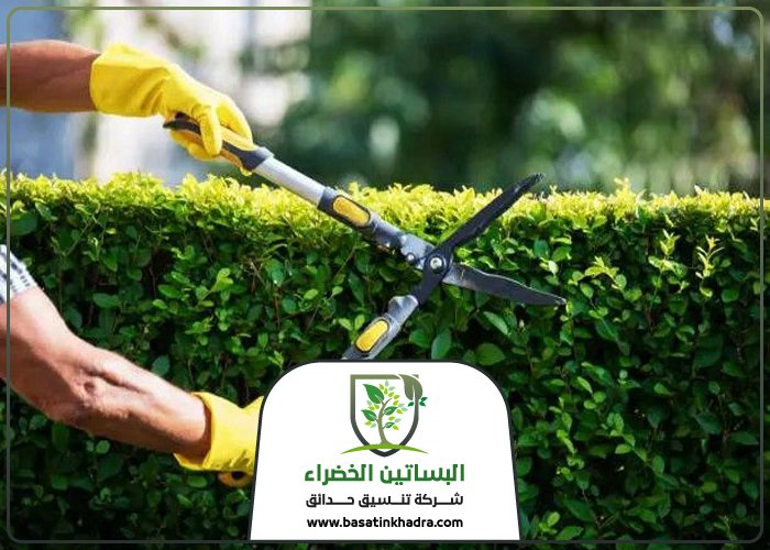 قص اشجار جنوب الرياض