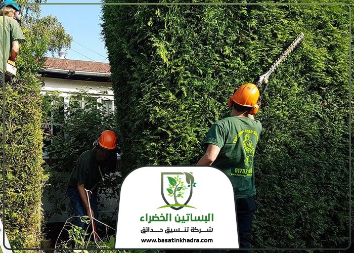 قص اشجار جنوب الرياض