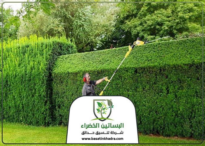 قص اشجار جنوب الرياض