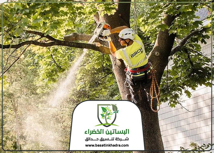 قص اشجار